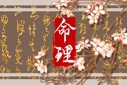 八字金木水火土|八字算吉日查询|八字算盘|基本排盘查询